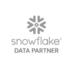 snowflake data partner-1